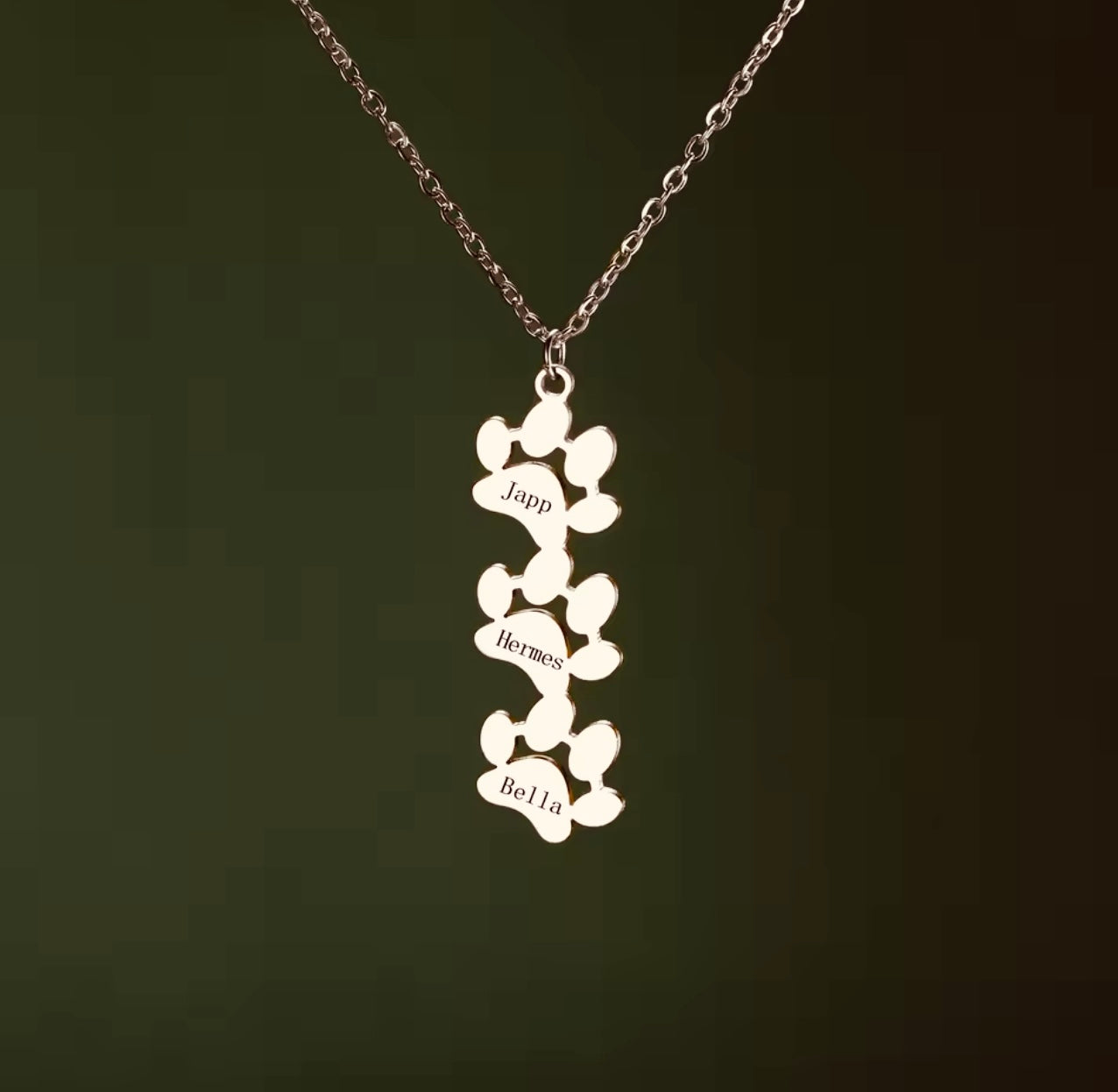 Custom Paw Print Necklace • Personalized Pet Name Jewelry for Women & Kids • Cat Dog Memorial Necklace